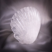 Charger l'image dans la galerie, Coquille Saint-Jacques - Cristal de roche