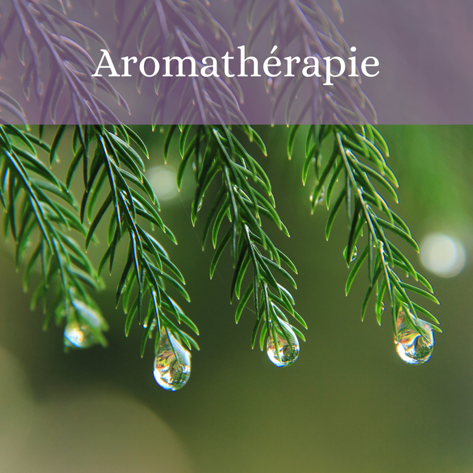 Aromathérapie : se soigner grâce à la magie des plantes