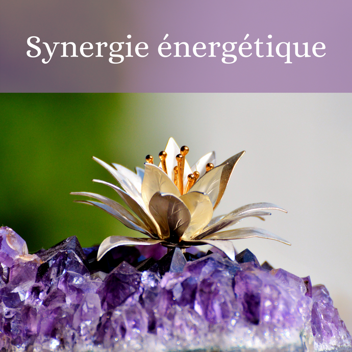 Synergie énergétique : décuplez votre potentiel vibratoire